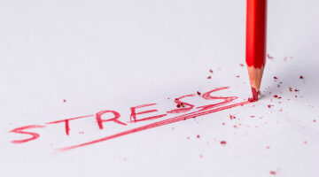 Os Tipos de Estressores: Mapeando os Gatilhos da Sua Resposta Biológica
